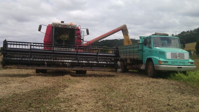 Imagem do dia - Colheita de soja em David Canabarro (RS), do produtor Itacir Trevisan. Enviado por Thalia Trevisan