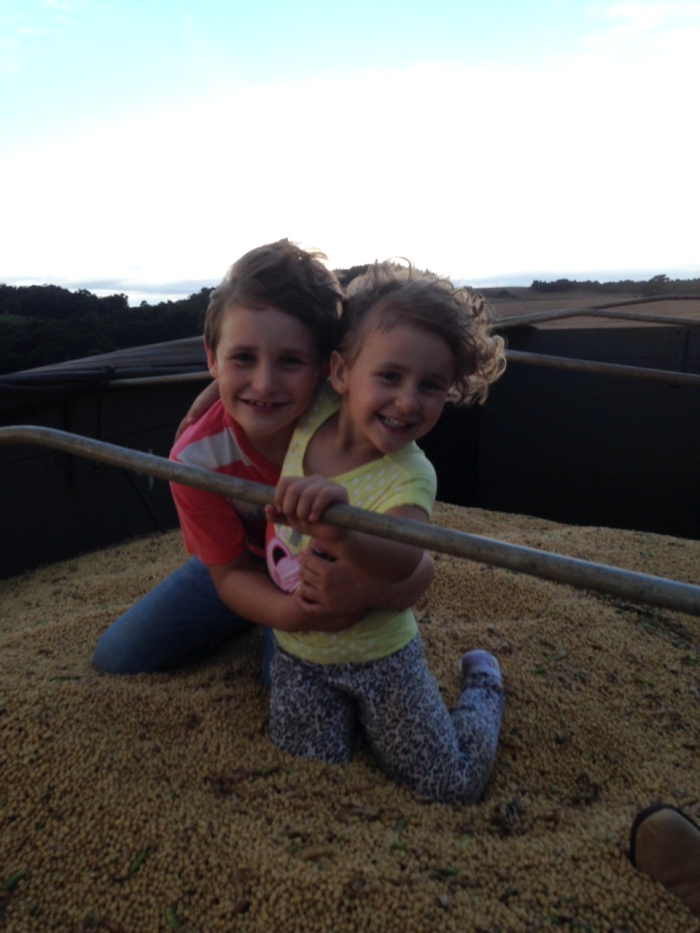 Imagem do dia - Moisés e Lara na colheita de soja em Clevelândia (PR), na Fazenda São Luis. Enviado por Tiago Galina