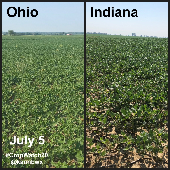 Lavouras de soja EUA - Karen Braun - Safra 2020/21