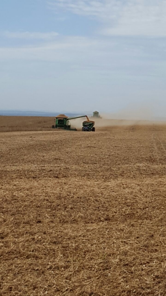 Imagem do dia - Colheita soja safrinha em Pira Pytã (PY)