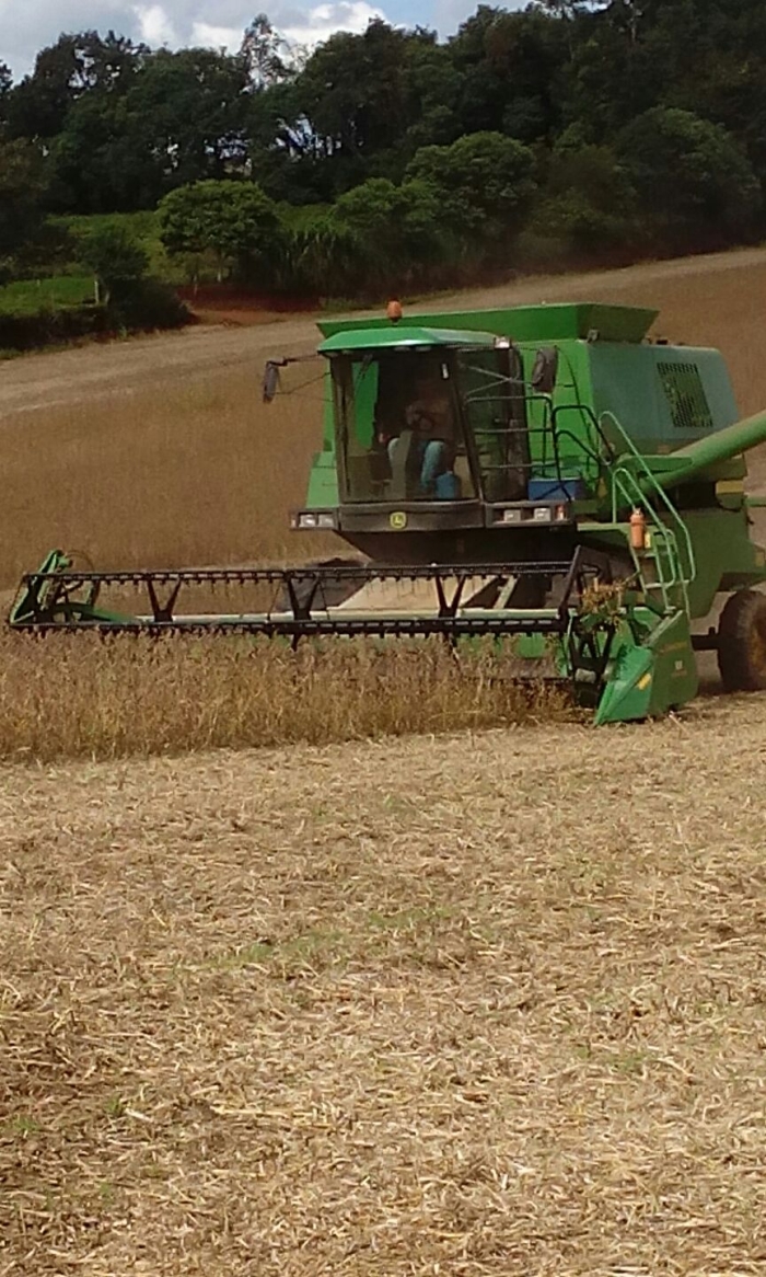 Imagem do dia - Colheita de soja em Porto Barreiro (PR), na Fazenda Dois Irmãos