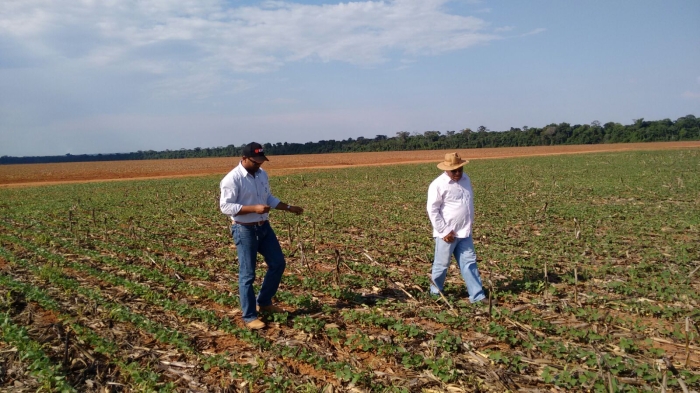 Imagem do dia - Produtor José Adelar aguardando a volta das chuvas para retomada do plantio Querência (MT). Enviado por Milton Júnior