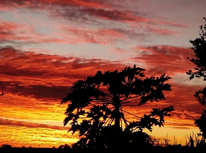 Imagem do dia - Amanhecer em Palotina (PR), na Chácara Miotto