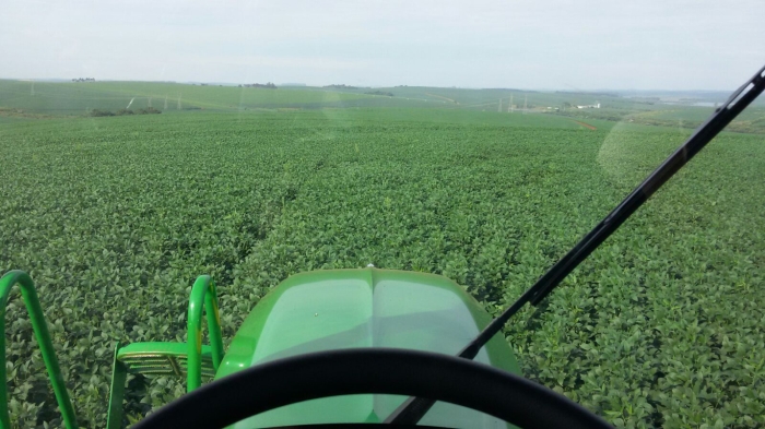 Imagem do dia - Aplicação de fungicida em Jacutinga (RS), na Fazenda Idalina, do produtor Avelino Ricardo Menegaz