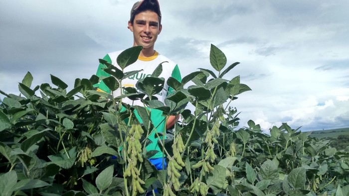 Imagem do dia - José Leo Bazanela na lavoura de soja em Água Santa (RS). Foto de Ana Paula Bulow
