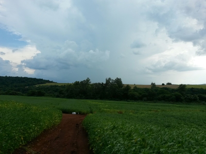Imagem do dia - Chuvas em Borrazópolis (PR)