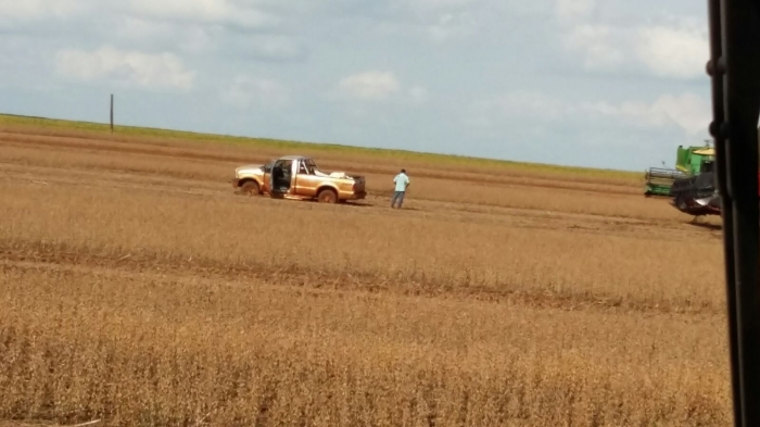Imagem do dia - Colheita de soja em Estância Principado (PY)