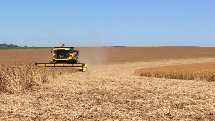 Imagem do dia - Início da colheita de soja em Mariópolis (PR), na propriedade Miglioranza