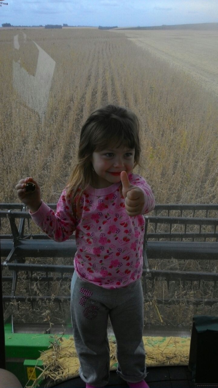 Imagem do dia - Kataryna na colheita de soja em Santa Bárbara do Sul (RS), do produtor Fabiano Baiotto