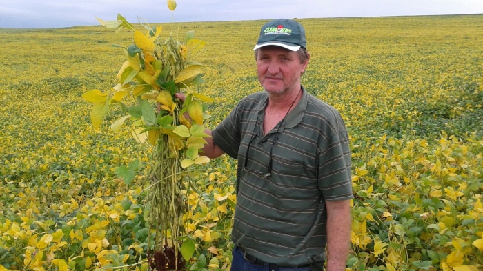 Imagem do dia - Lavoura de soja em Nova Aurora (PR), com excelente aspecto fitossanitário. Enviado pelo Técnico Agrícola David Clemente