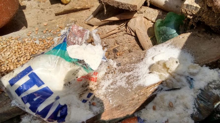 Desintrusão em São Félix do Xingu (PA)