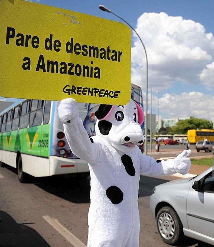 Pare de desmatar - Verde - a nova cor do comunismo