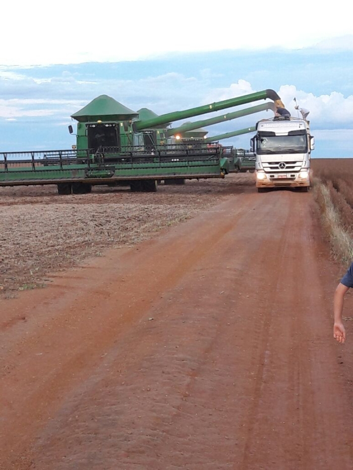 Colheita da soja em Sorriso/MT - Envio de Luimar Gemi