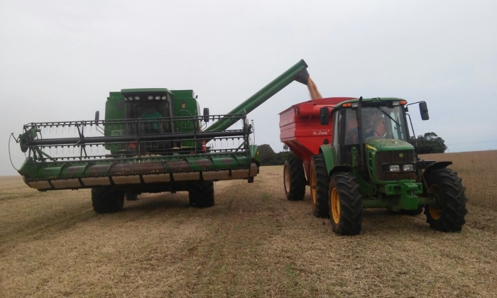 Imagem do dia - Colheita de soja em Victor Graeff (RS). Enviado por Luís Emílio dos Santos