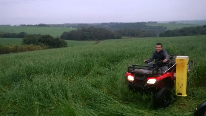 Imagem do dia - Imagem em Panambi (RS), do produtor Alberto Kilingue