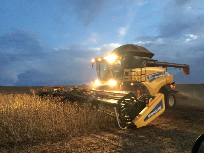 Imagem do dia - Colheita de soja em Sarandi (RS), na Fazenda São Sebastião