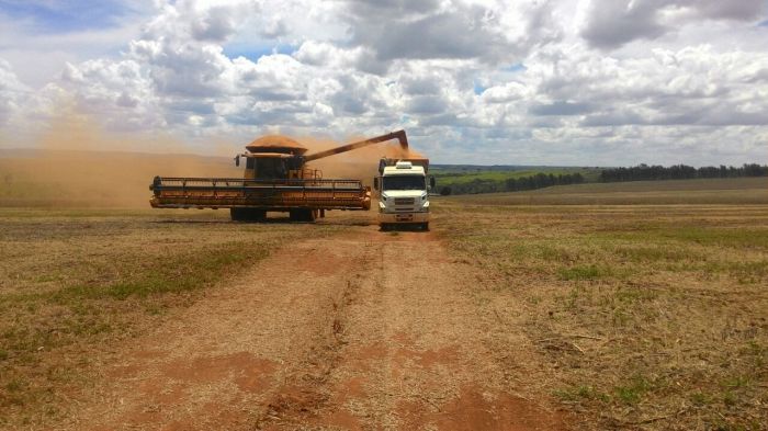 Imagem do dia - Colheita de soja em Coromandel (MG). Envio do Técnico Agrícola Reginaldo