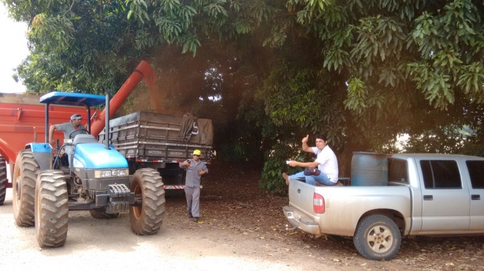 Imagem do dia - Colheita de soja em Ibiporã (PR). Enviado por Ricardo Alves Ferreira