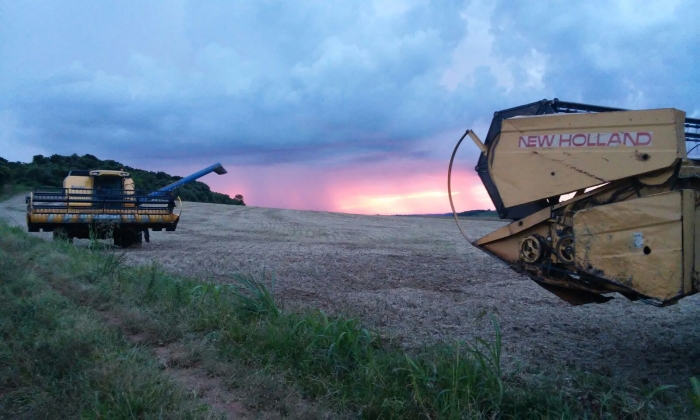 Imagem do dia - Fim da colheita de soja em Nova Prata do Iguaçu (PR), do produtor Deoclecio Galuppo