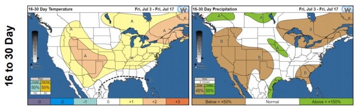 EUA 16 a 30 dias - CWG