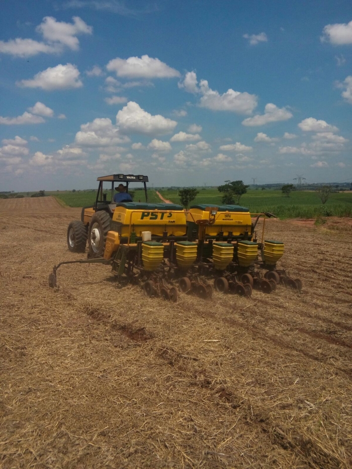 Imagem do dia - Plantio de milho safrinha em José Bonifácio (SP). Enviado por Wellington Modesto