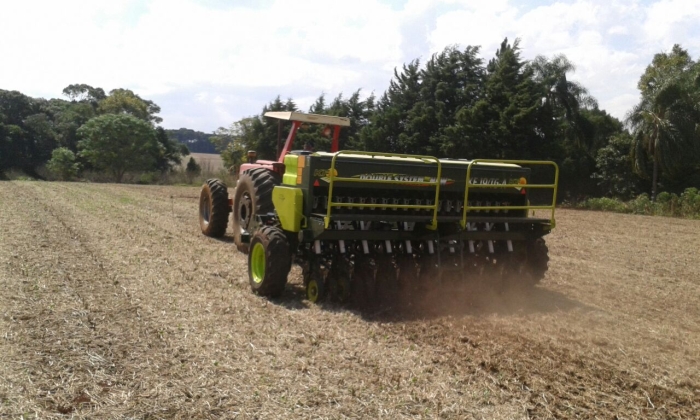 Imagem do dia - Plantio de aveia preta em Fortaleza dos Valos (RS), do produtor Carlos Ebert. Imagem enviado por Maurício Ebert