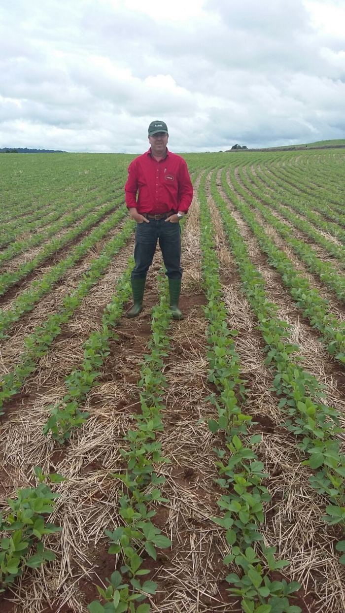 Imagem do dia - Engenheiro Agrônomo Renato Tozzi Cambi na lavoura de soja em Jundiaí do Sul (PR)