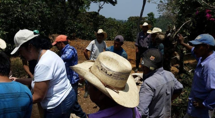 Imagem do dia - Início do plantio de aveia branca em Luiziana (PR), na Fazenda Camargo