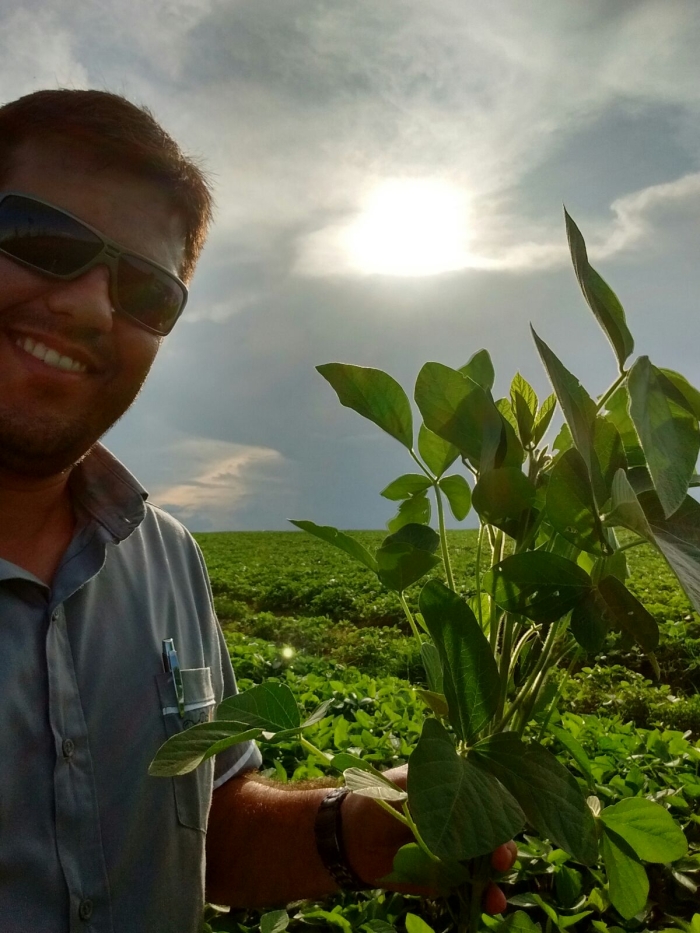 Imagem do dia - Lavoura de soja em Dom Eliseu (PA). Enviado pelo Engenheiro Agrônomo Bruno Alves