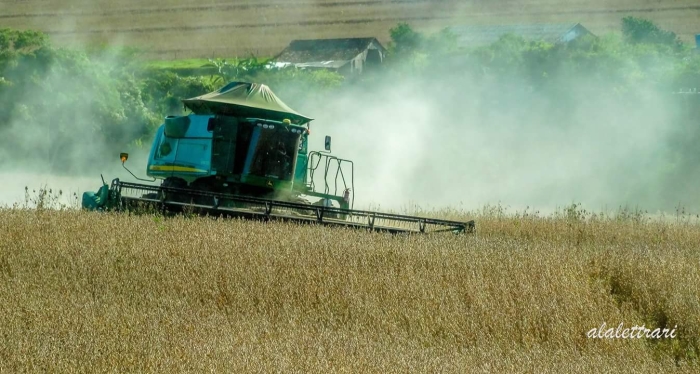 Imagem do dia - Colheita de soja em Palotina (PR). Imagem de Adinar Lettrari