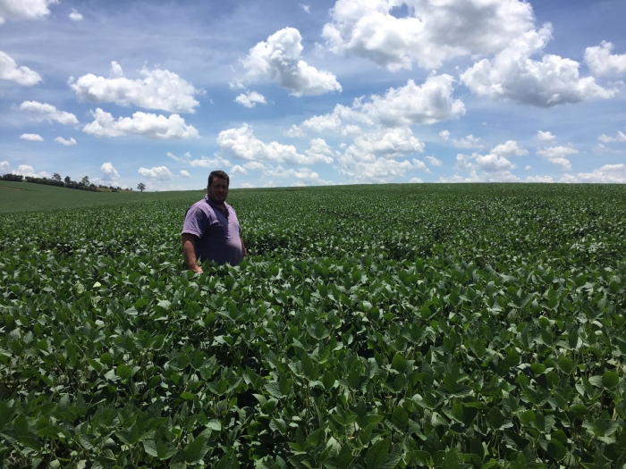 Imagem do dia - Lavoura de soja em Madre de Deus de Minas (MG), do produtor Richard Franchi, na Fazenda do Tanque