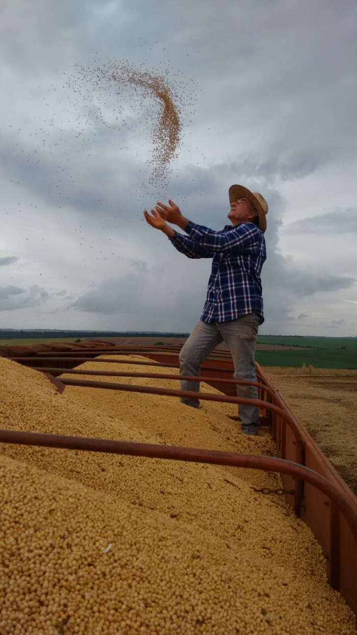 Imagem do dia - Colheita de soja em Santa Cruz do Rio Pardo (SP), do produtor Nelson Gazola