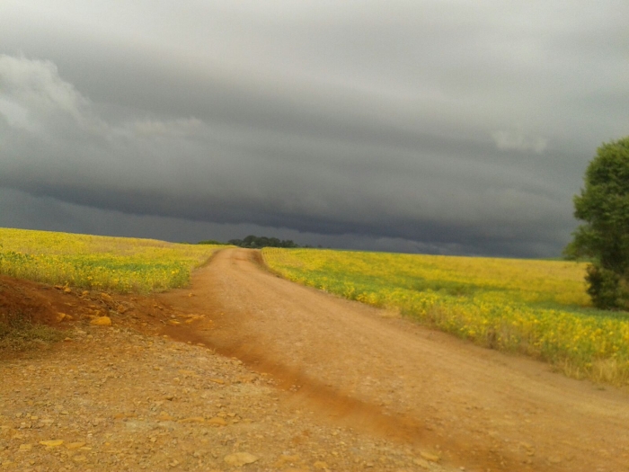 Imagem do dia - Lavoura de soja em Uruçuí (PI), do produtor Savio Schroder e seu pai Arnildo Schroder