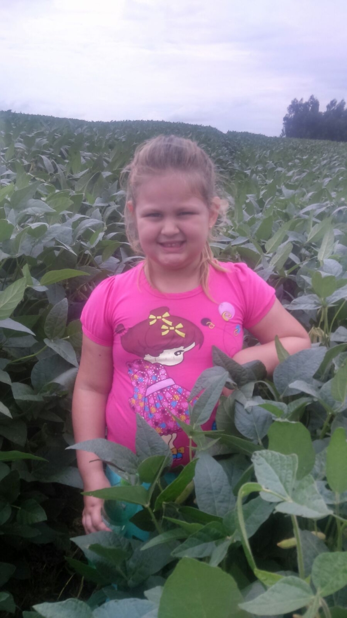 Imagem do dia - Lavoura de soja em Coronel Vivida (PR), do produtor Mateus Capelin