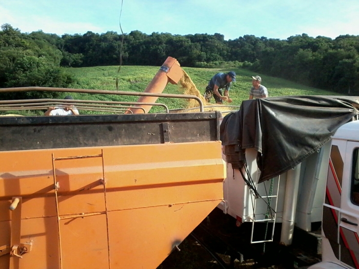 Imagem do dia - Colheita de soja precoce em Floriano Peixoto (RS)