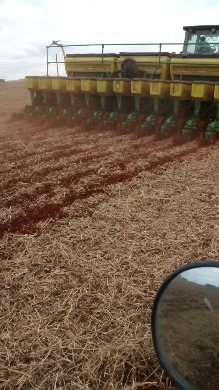 Imagem do dia - Plantio de milho safrinha em Pimenta (MG), na Fazenda Mata Velha