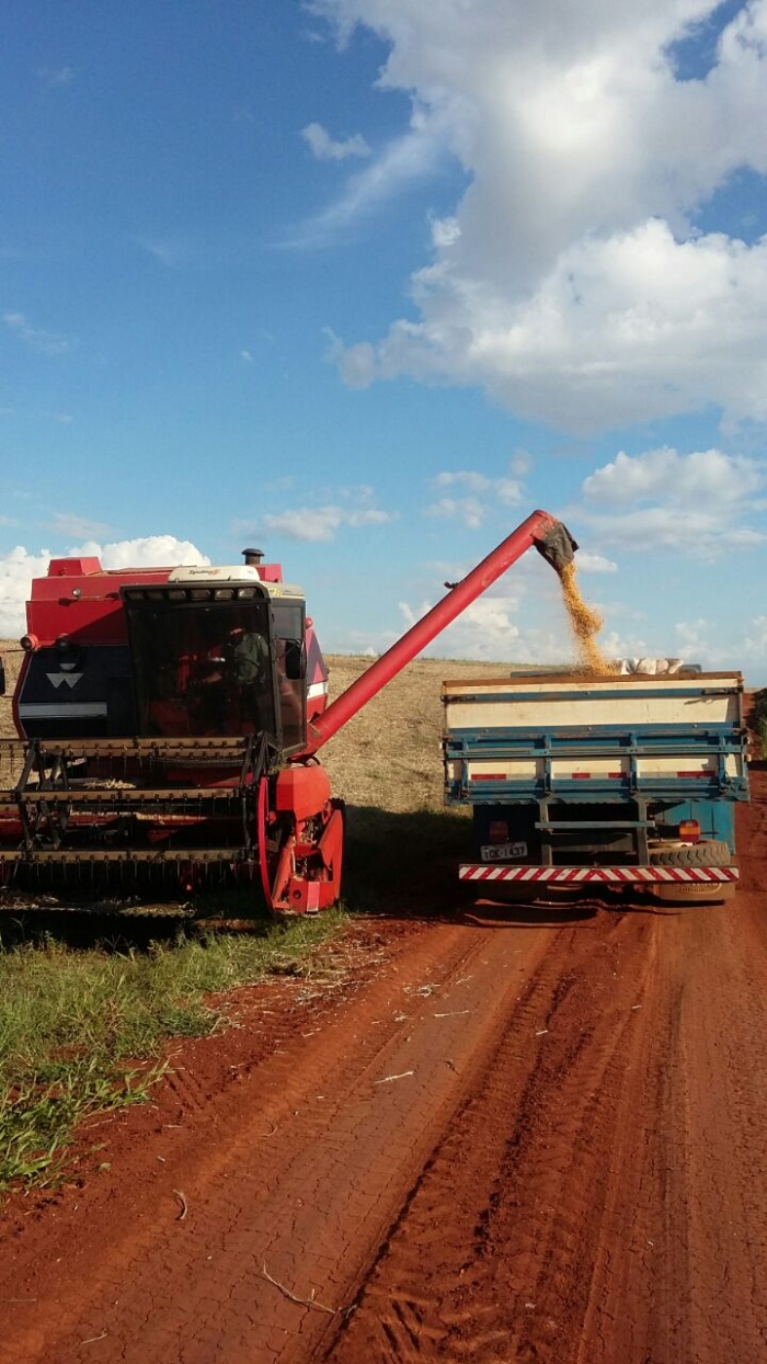 Imagem do dia - Finalizando colheita de soja em Cruzaltense (RS), dos Irmãos Zulian