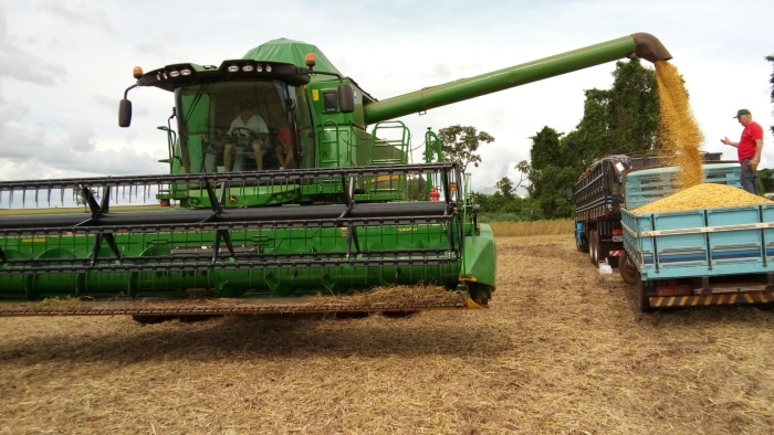 Imagem do dia - Colheita da soja em Pranchita (PR), do produtor Onório Giongo. Foto enviada Técnico Agrícola Celio Spillari