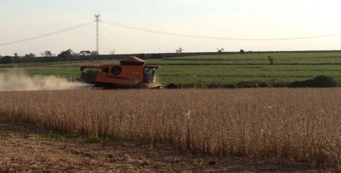 Imagem do dia - Fim da colheita de soja em Tabatinga (SP), dos produtores Moacir e Maurício Bonfante
