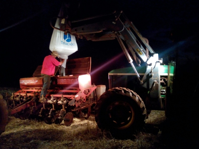 Imagem do dia - Reta final de plantio de soja na região de Cascavel (PR). Enviado por Eduardo Rambo