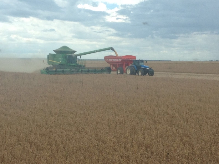 Imagem do dia - Colheita de soja em Rio Verde (GO), dos irmãos Rossetti