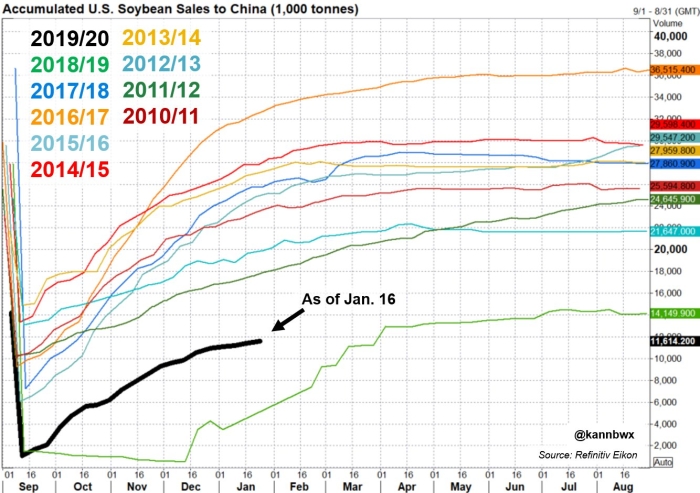 Importações soja China