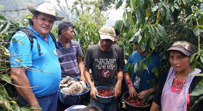Imagem do dia - Início do plantio de aveia branca em Luiziana (PR), na Fazenda Camargo