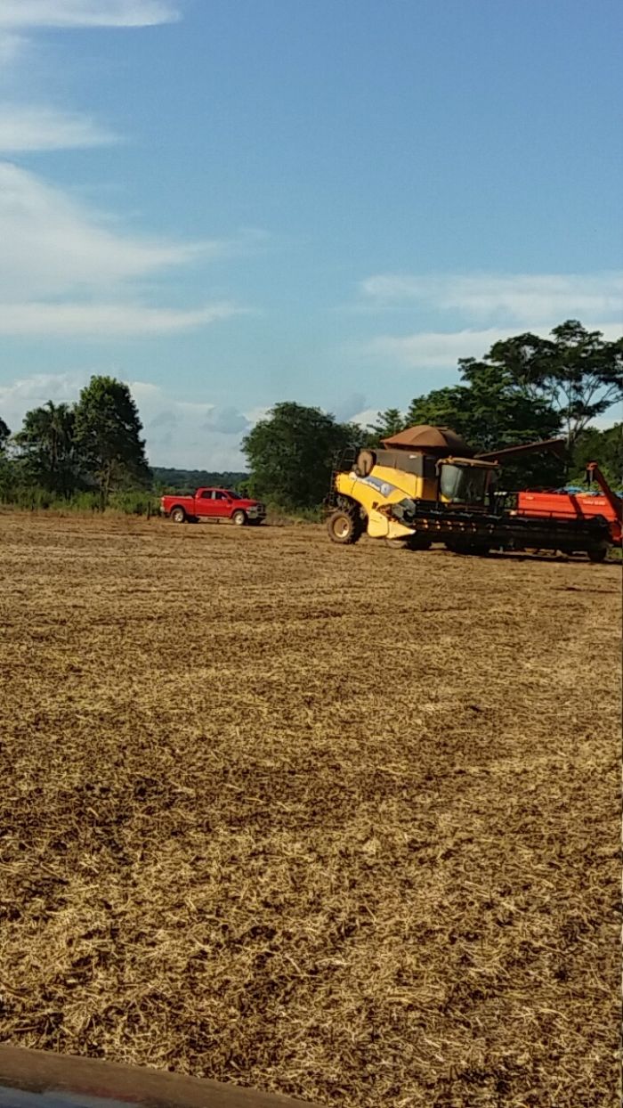 Imagem do dia - Finalizando colheita de soja em Laguna Carapã (MS), na  Fazenda Recreio. Enviado pelo Técnico Agrícola João Pedro Roma