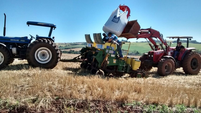 Imagem do dia - Plantio de milho em Pérola D Oeste (PR), do produtor André Giongo