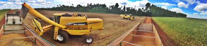 Imagem do dia - Colheita de soja em Minga Porã (PY)