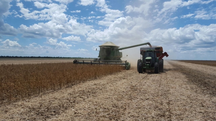 Imagem do dia - Colheita de soja na Fazenda Santa Rosa em Alto Parnaíba (MA). Enviado Hariwald Busse