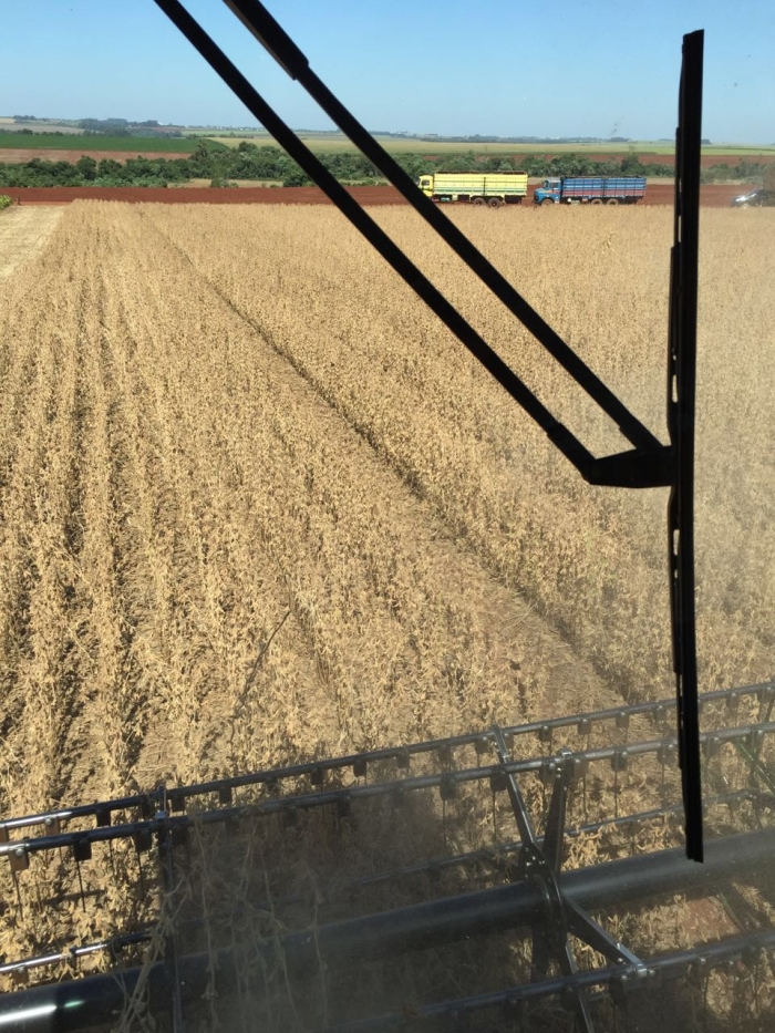 Imagem do dia - Colheita de soja safrinha em Santa Rita (PY), do produtor Valdemar Weinheimer