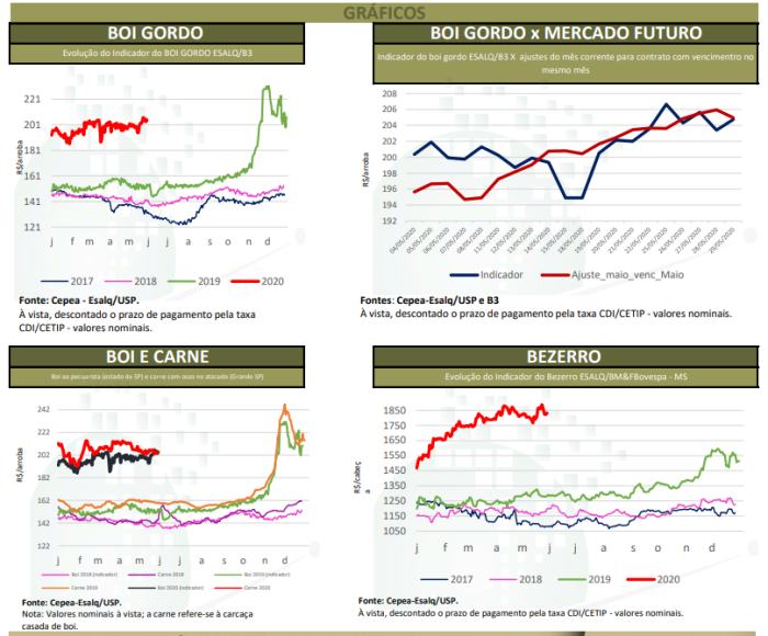 boi agrimensais cepea maio 2020 3