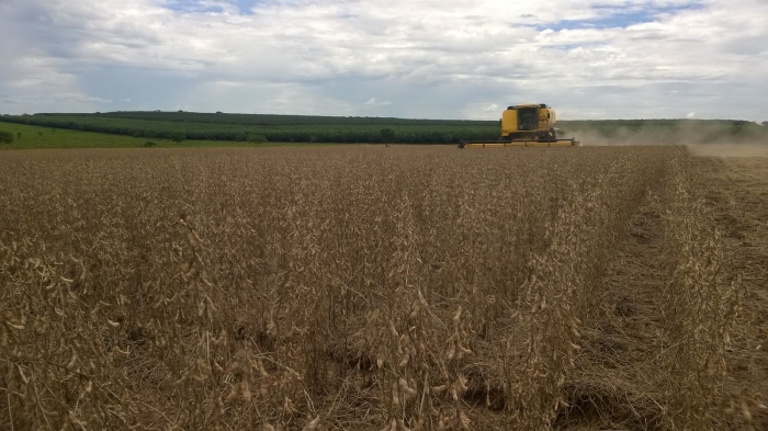 Imagem do dia - Colheita de soja em Bataguassu (MS), na Fazenda Santa Rosa